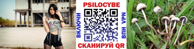 Галлюциногенные грибы прущие грибы  Купить закладки  Устюжна 